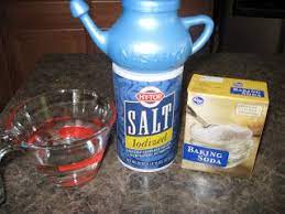 Sisters With Stuff Homemade Neti Pot Solution Neti Pot Solution Neti Pot Natural Home Remedies