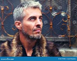 196 Fotos de Stock de Lobo Ornamental