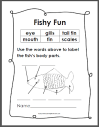 Learning Ideas Grades K 8 Simple Fish Anatomy Diagram Fish Anatomy Fish Unit Kindergarten Writing