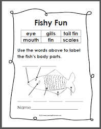 How many organs and body parts can you find in the puzzle? Learning Ideas Grades K 8 Simple Fish Anatomy Diagram Fish Anatomy Fish Unit Free Kindergarten Worksheets