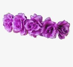 1.5m ratings 277k ratings see, that's what the app is perfect for. To Flower Am Afraid Png Crown Purple Ask Tumblr Purple Flower Crown Png Transparent Png 500x500 Free Download On Nicepng