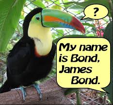 Znalezione obrazy dla zapytania james bond pictures free download