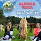 Alpaca Yoga
