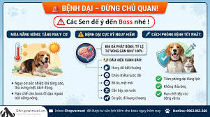 Cảnh báo nguy cơ bệnh dại - Người dân xã Thiệu Trung cần chủ động tiêm phòng cho chó, mèo, không thả rông vật nuôi