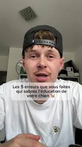 5 erreurs à éviter pour l'éducation de ton chien