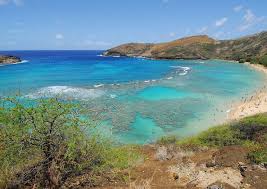 Snorkeling at hanauma bay nature preserve is closed on tuesdays to help minimize the impact on hanauma bay beach facilities. The 10 Best Hanauma Bay Tours Tickets 2021 Oahu Viator