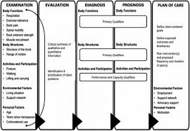 Flow Chart Depicting How The Patient Management Model Can