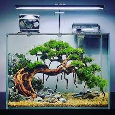 Siapa sih yang tidak kenal aquarium, salah satu wadah atau tempat ikan hias kecil maupun jenis ikan hias predator yang terbuat dari beberapa susunan kaca dengan tambahan hiasan unik dan cantik. Inspirasi Aquarium Yang Bagus Dan Keren Bakal Buat Kamu Betah Dirumah