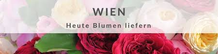 Gewoonstijl is officieel dealer van fameg. Top 3 Blumenversand Osterreich Heute Blumen Verschicken