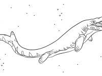 Mosasaurs probably evolved from an extinct group of aquatic lizards known as aigialosaurs in the early cretaceous. Cool Jurassic World Mosasaurus Coloring Pages Sugar And Spice