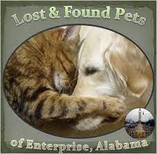 Save a pet, dothan alabama. Save A Pet Dothan Alabama Home Facebook