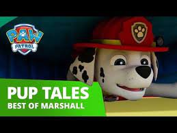 paw patrol marshall rescue mashup compilation paw patrol official friends youtube marshall paw patrol paw patrol toys paw patrol