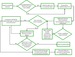 incident reporting procedure flow chart www