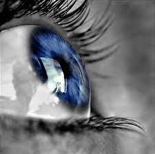 Find and research local family medicine specialists in clinton township, mi. Family Eye Care Associates Home Facebook