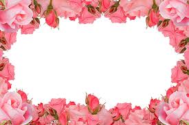 Download the rose, flowers png on freepngimg for free. Royalty Free Photo Pink Floral Frame Pickpik