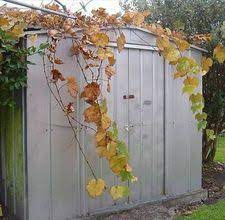Tips For Painting A Metal Shed Hunker Metal Shed Diy Shed Plans Shed Makeover