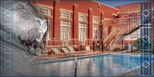 The Lofts San Marco A New Lease On Light