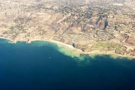Zoom Sur Les Posidonies Mer Ocean