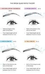 I don't recommend cutting them in one fell swoop, because there is not as much aesthetic control that way. Pauls Hair World On Twitter Perfect Eyebrows Tutorial Perfect Eyebrow Makeup Perfect Eyebrows