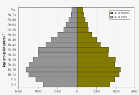Of the 31 million or so. Population Pyramid Population Pyramid Of Seoul Png Image Transparent Png Free Download On Seekpng