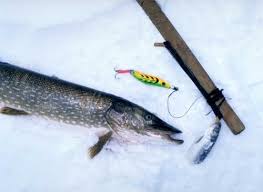 Alaska Ice Fishing Alaska Fishing Alaska Outdoors Supersite