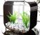 Simple Aquarium Decoration Ideas