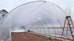 Free plans for an arched pvc pipe greenhouse. Greenhouse Plastic Buy Clear Uv Resistant 6 Mil Greenhouse Film Bootstrap Farmer