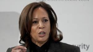 Harris to host marijuana reform roundtable with Kentucky governor, rapper  Fat Joe