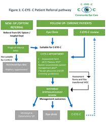 Likelihood to recommend allied eye physicians and surgeons, inc. Community Eye Care C Eye C Clinic Impacting Public Health Care The International Agency For The Prevention Of Blindness