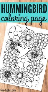 30″ removable landscape coloring poster. Bird Coloring Page For Grown Ups Trail Of Colors