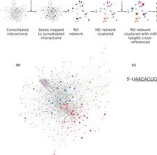 computational network analysis a flow chart of the network