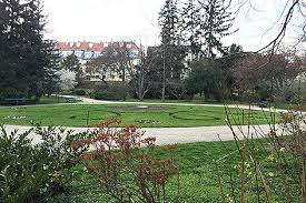 Tiergarten Schonbrunn Will Ausbauen Wien Orf At