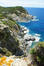 Une Randonnee A Porquerolles Voyager En Photos Porquerolles Les Regions De France Ile Francaise