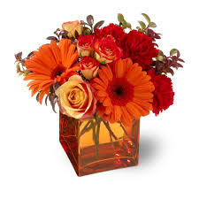 Check spelling or type a new query. Flower Central Floral Florists Minot Nd Flowers Minot 58701