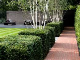 Wimbledon Garden Design James Aldridge Www Jamesaldridgedesign Com Modern Garden Modern Landscaping Formal Gardens