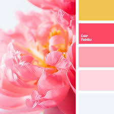 Colors that go with coral. Color Of Flamingo Color Palette Ideas