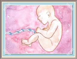 We did not find results for: Amazon Com Fetus In Womb Art Pregnant Woman Baby In Belly Painting Pregnancy Artwork Baby Shower Gifts Presents Pregnancy Gift Baby Shower Gift Birth Pregnant Art Pregnancy Gift For Expecting Mom Amazon Handmade