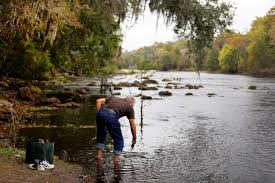 The santa fe river begins its journey at lake santa fe, lake alto and their associated swamps northeast of gainesville in north florida. Bob Knight Trouble In The Garden Of Eden