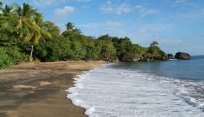 You only need to enter the desired flight destination, date, number of adults and children. Mayotte
