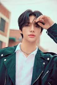 A collection of the top 42 hyunjin wallpapers and backgrounds available for download for free. 10 Fakta Unik Hyunjin Stray Kids Si Ganteng Penuh Talenta