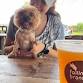Beer n' Bark Palooza