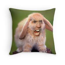 Nicolas Cage Rabbit Throw Pillow By Balzac In 2021 Animal Mashups Animals Bunny Cages