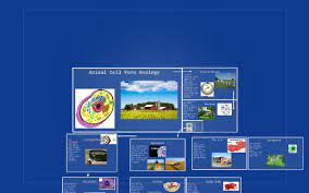 Using your model/analogies, explain the difference between plant and animal cells. Animal Cell Farm Analogy By Brandon Strupp