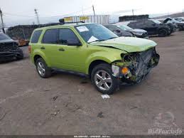 Image result for Lime Squeeze 2012 Escape