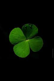 Pin By Elisa Deviani On Random Me Plant Leaves Petals Lucky Clover