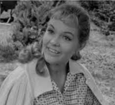 Why do chickens have feathers