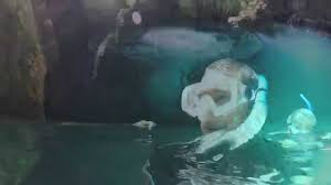Snorkeling The Sawa I Lau Caves Fiji Hi Res Youtube Dominated by a jagged shoreline and a single high mountain, it stands out as the only limestone island in a chain of volcanic ones. sawa i lau caves fiji hi res
