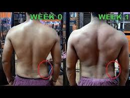 Pin On Exercise