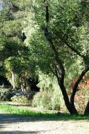 Kenney Grove Park Camping Places Grove Park National Parks