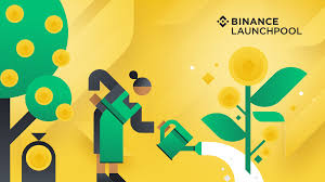 However, if a project is new and generates a lot of. Binance Launchpool Boosting Crypto Projects Holders Alike Binance Blog